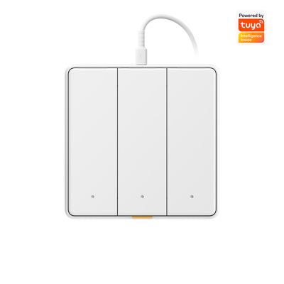Tuya WIFI Touch Switch Smart Home mit Typ C Timing Voice App Alexa, Google Home RF433 Smart EU Wandlicht Schaltfläche